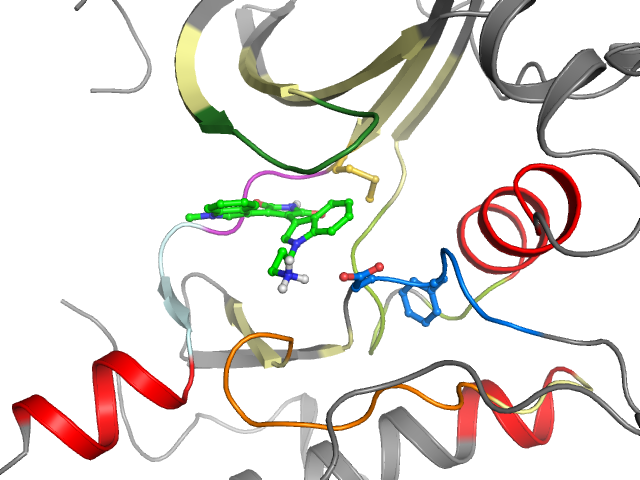 The orthosteric binding pocket