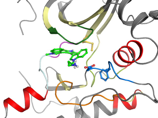 The orthosteric binding pocket