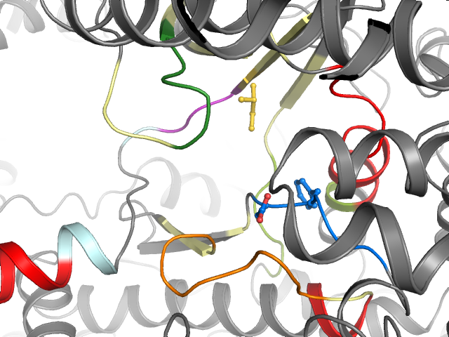 The orthosteric binding pocket