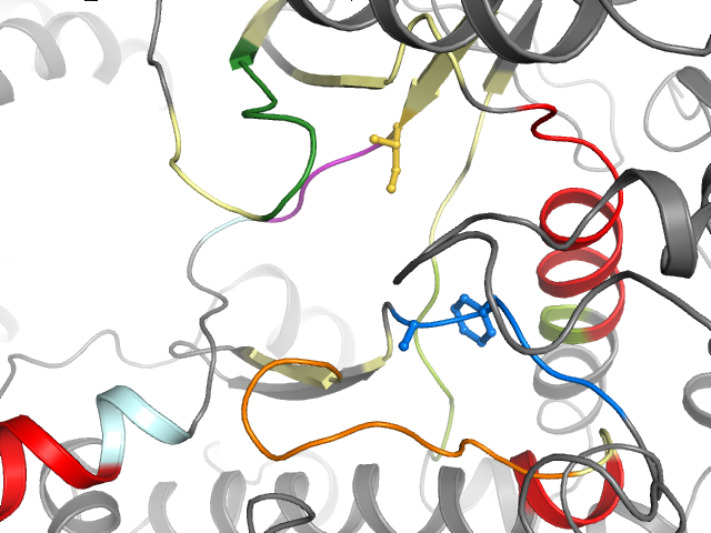 The orthosteric binding pocket