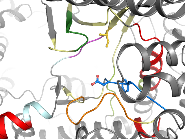 The orthosteric binding pocket