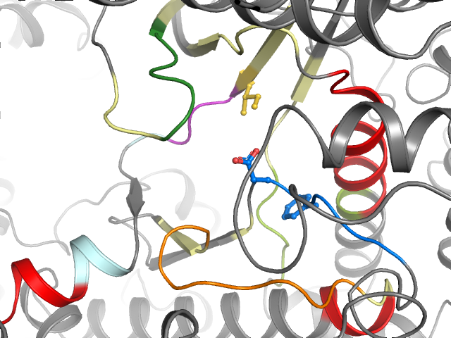 The orthosteric binding pocket
