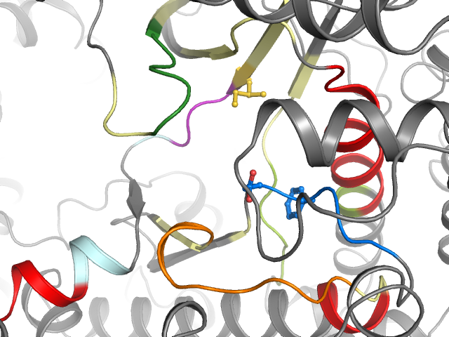 The orthosteric binding pocket