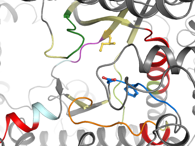 The orthosteric binding pocket