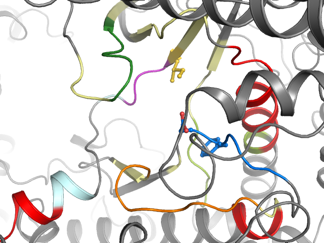 The orthosteric binding pocket