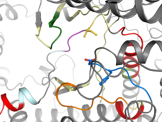 The orthosteric binding pocket