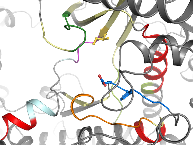 The orthosteric binding pocket