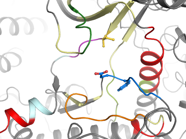 The orthosteric binding pocket