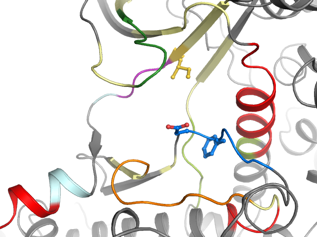 The orthosteric binding pocket