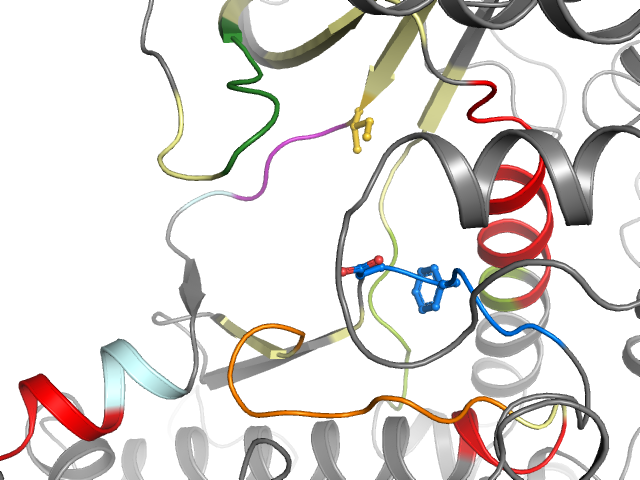 The orthosteric binding pocket