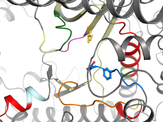 The orthosteric binding pocket