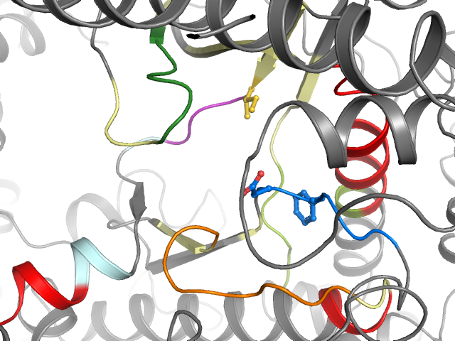 The orthosteric binding pocket