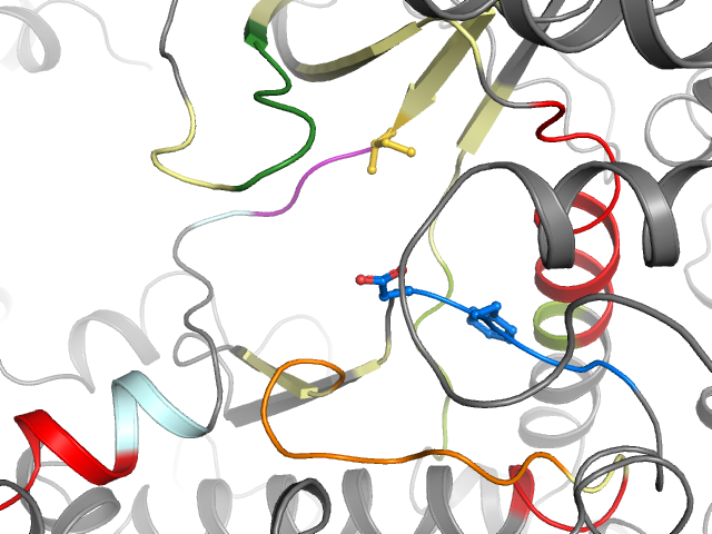 The orthosteric binding pocket
