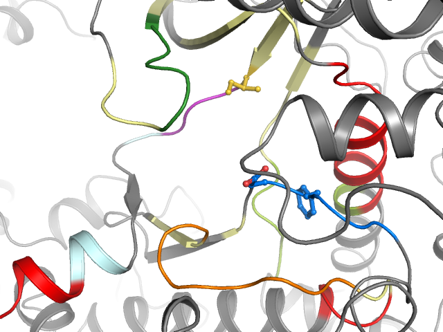 The orthosteric binding pocket