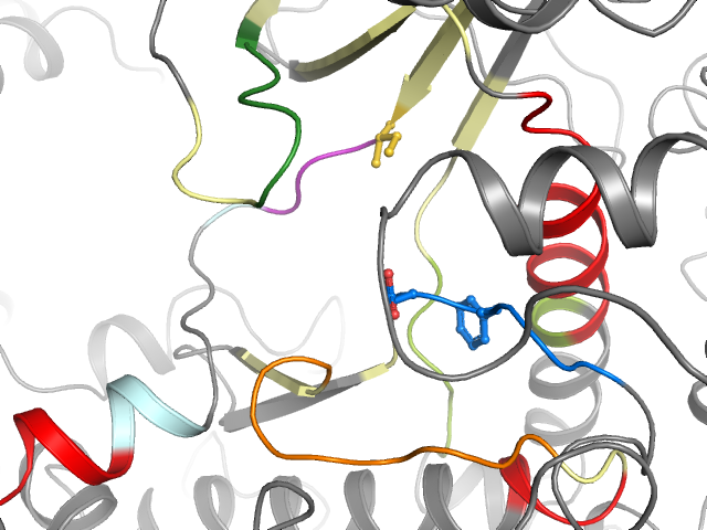 The orthosteric binding pocket