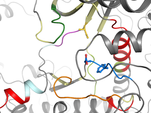 The orthosteric binding pocket