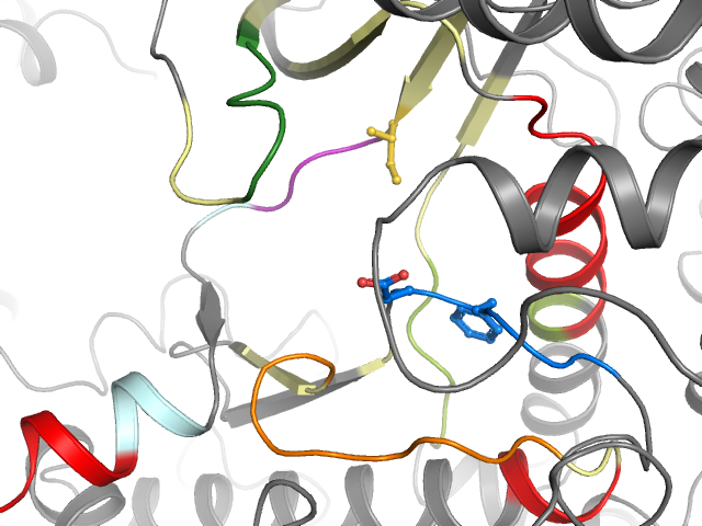 The orthosteric binding pocket