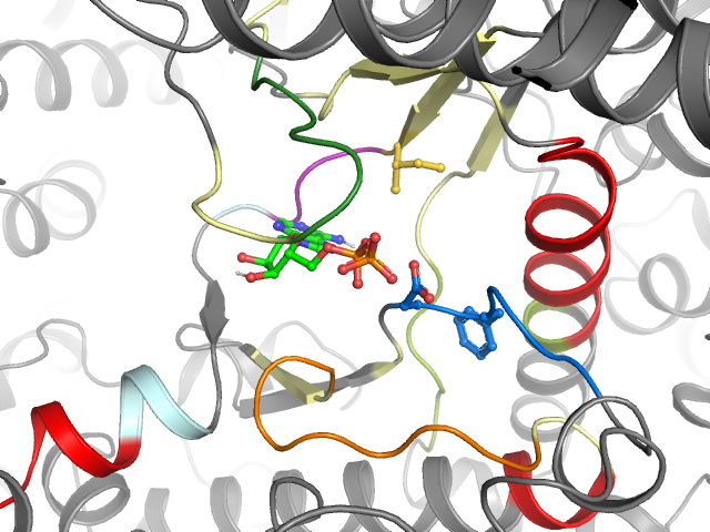 The orthosteric binding pocket