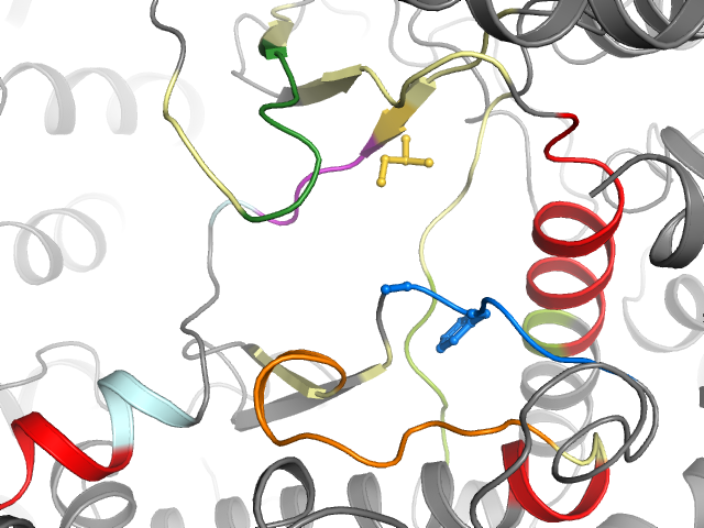 The orthosteric binding pocket