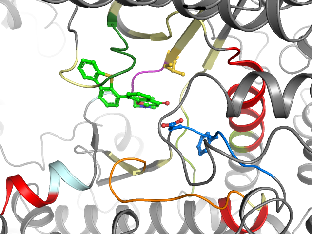 The orthosteric binding pocket