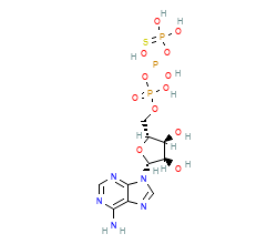 2D structure of the orthosteric ligand