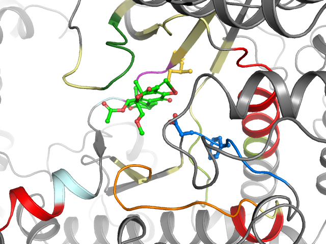 The orthosteric binding pocket