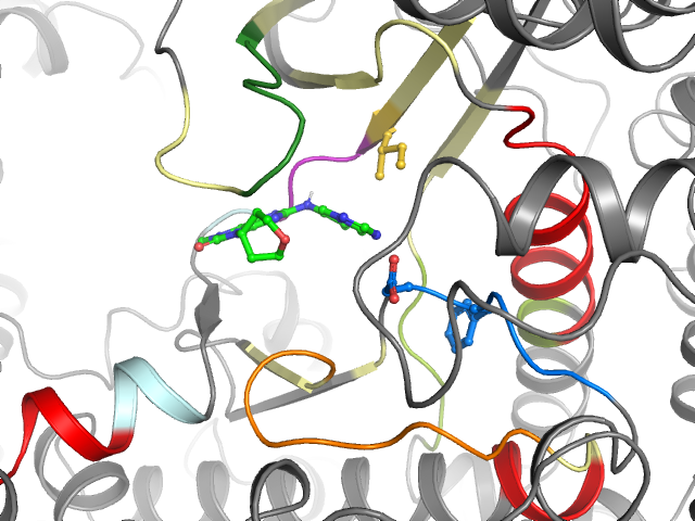 The orthosteric binding pocket