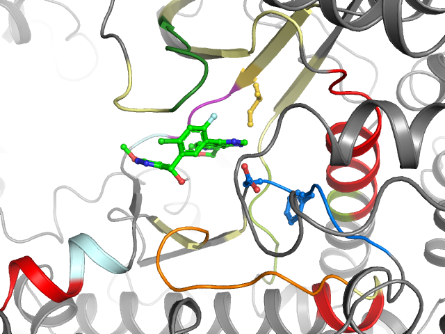 The orthosteric binding pocket