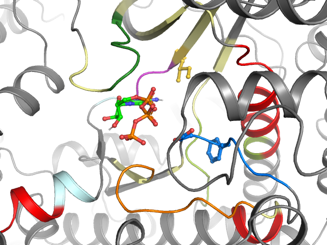The orthosteric binding pocket