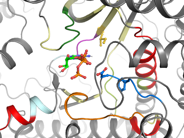 The orthosteric binding pocket
