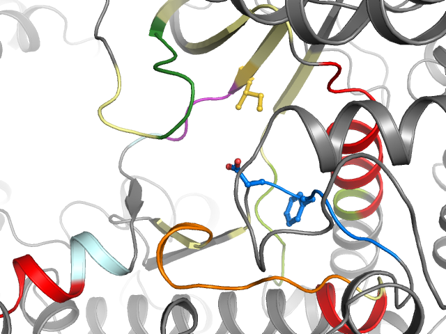 The orthosteric binding pocket