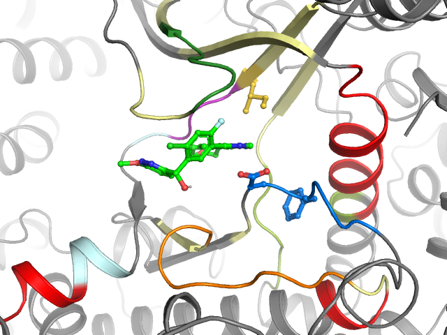 The orthosteric binding pocket