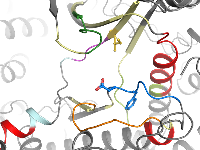 The orthosteric binding pocket