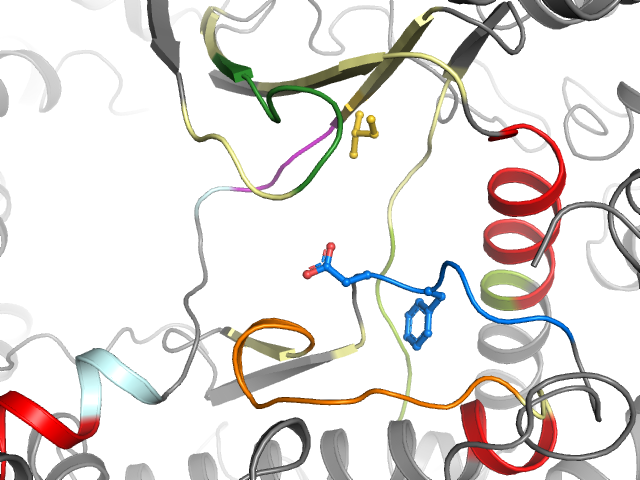 The orthosteric binding pocket