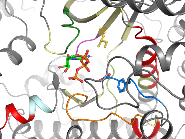 The orthosteric binding pocket