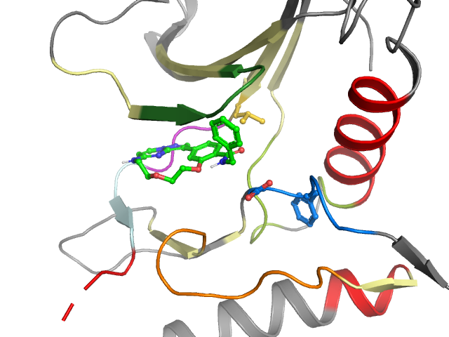The orthosteric binding pocket