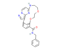 2D structure of the orthosteric ligand
