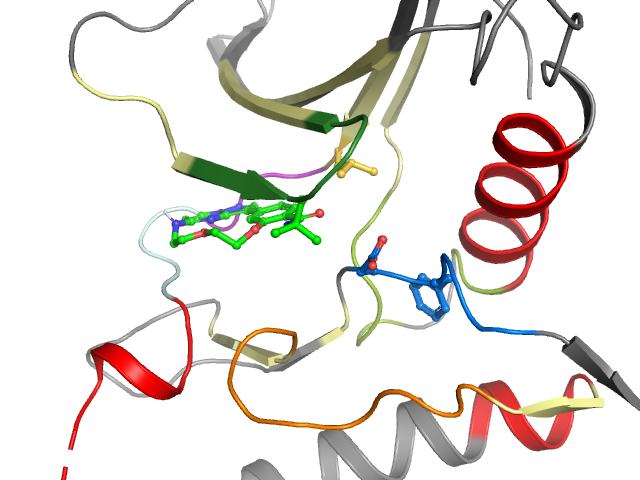 The orthosteric binding pocket
