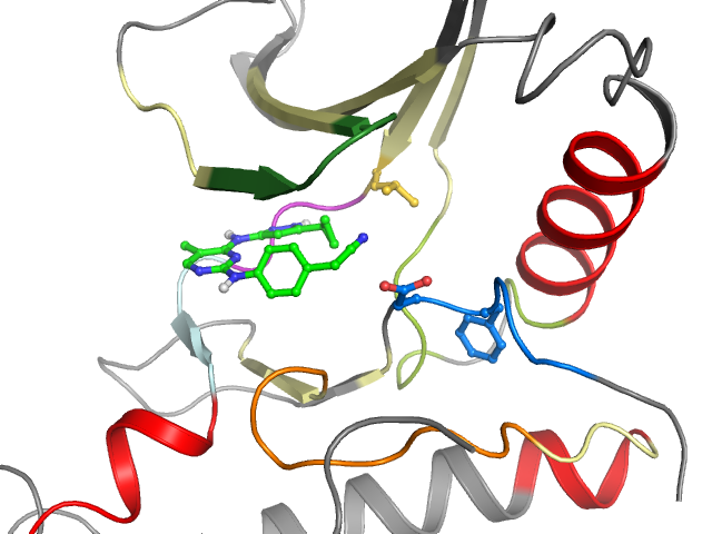 The orthosteric binding pocket
