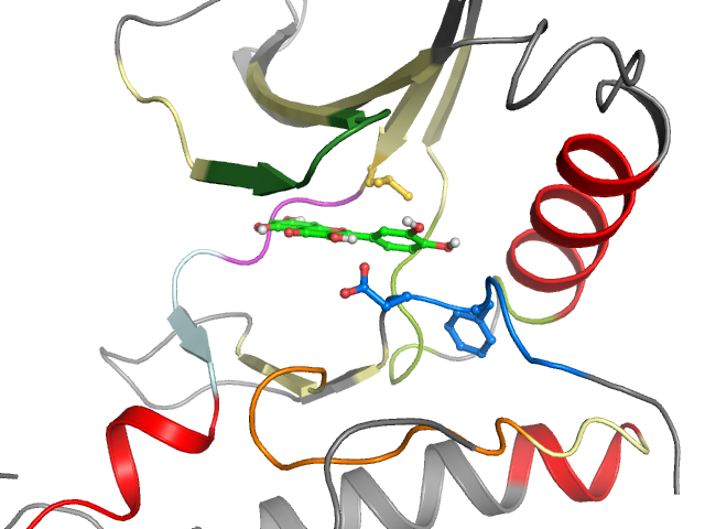 The orthosteric binding pocket