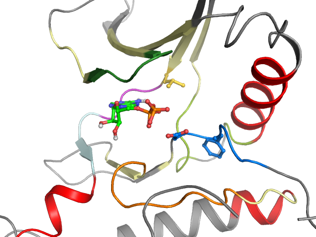The orthosteric binding pocket