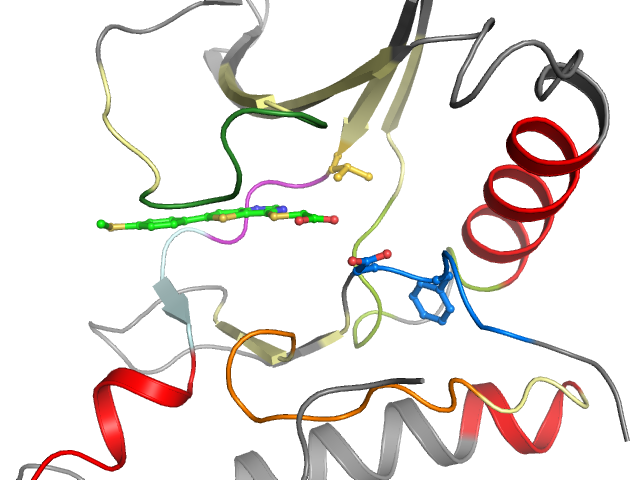 The orthosteric binding pocket