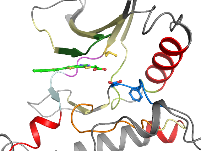 The orthosteric binding pocket