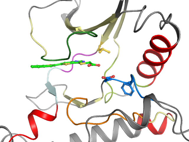 The orthosteric binding pocket