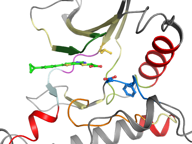 The orthosteric binding pocket