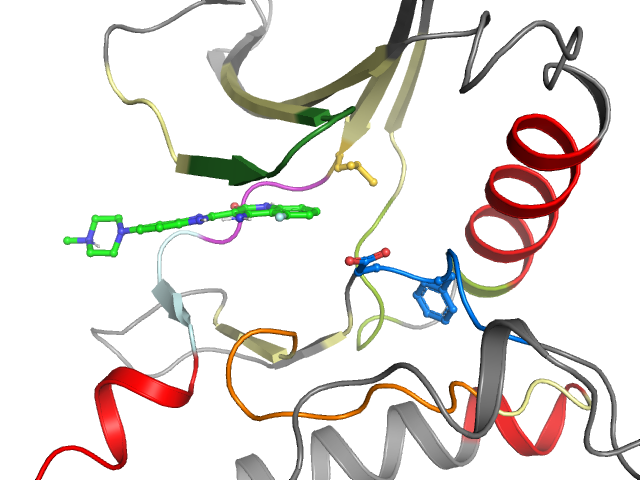 The orthosteric binding pocket