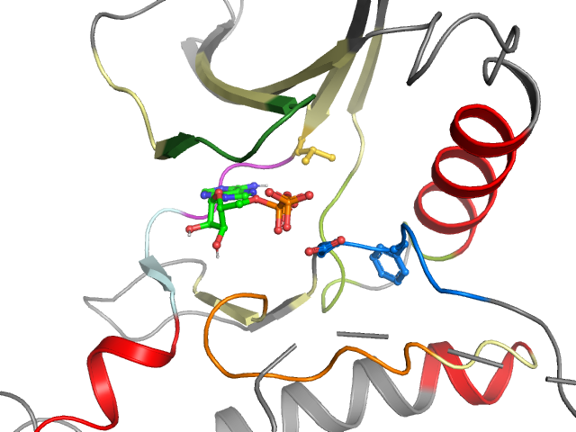 The orthosteric binding pocket