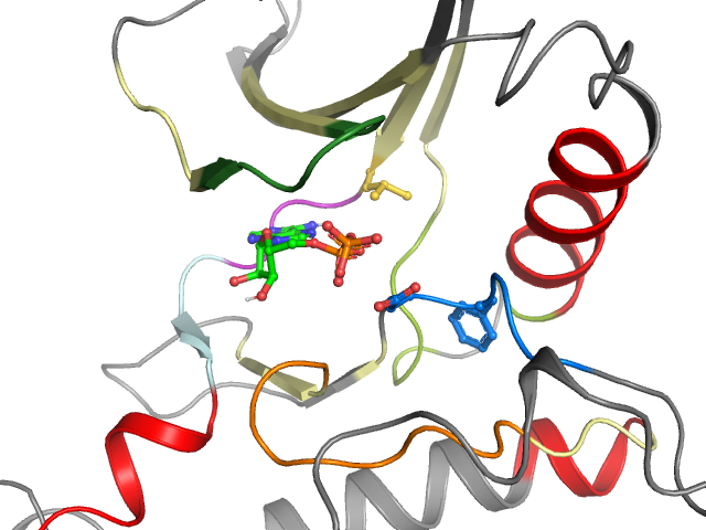 The orthosteric binding pocket