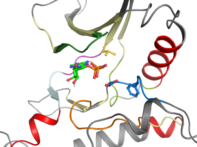 The orthosteric binding pocket