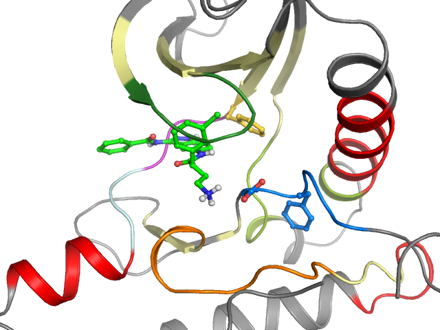 The orthosteric binding pocket